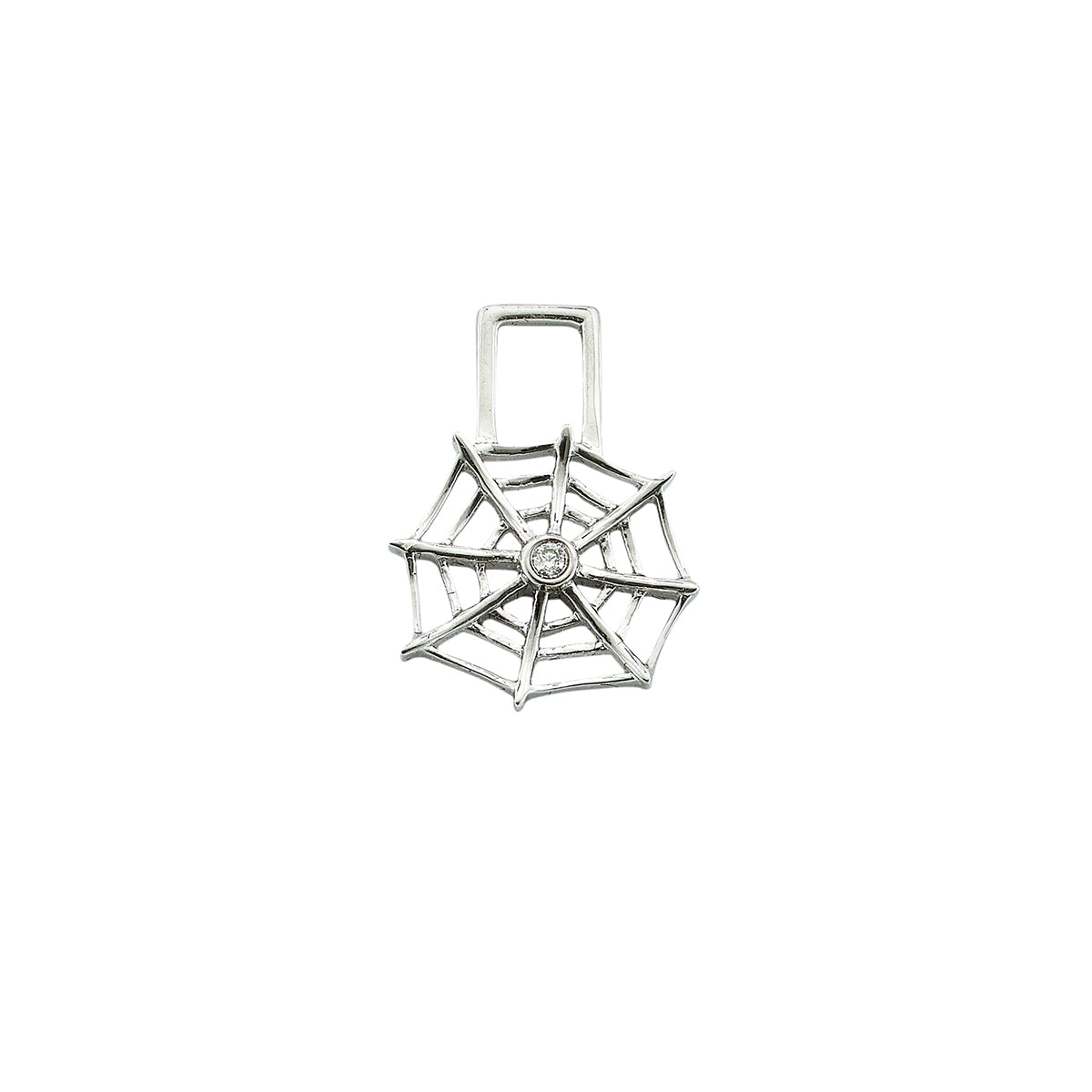 Spider's Web EarWish